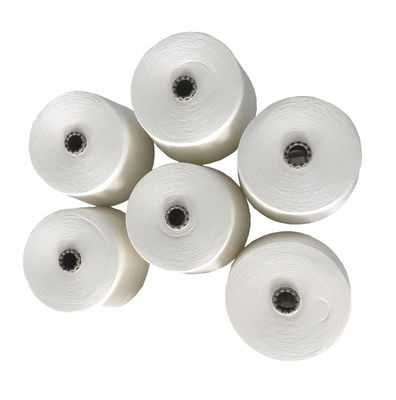 Ne30/1 Siro Spun Yarn pour le tricotage 100% matériau de bambou testé pour une éveninité de torsion de 750TPM